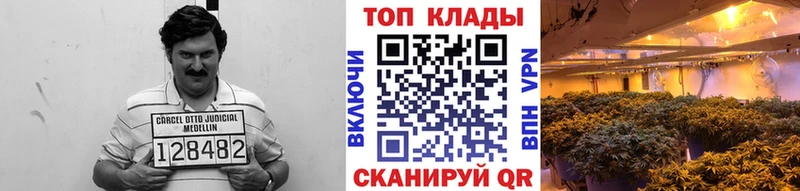 Где продают наркотики Феодосия hydra как войти  Каннабис  Мефедрон  МЕТАДОН  ГАШ  Alpha PVP  Кокаин 
