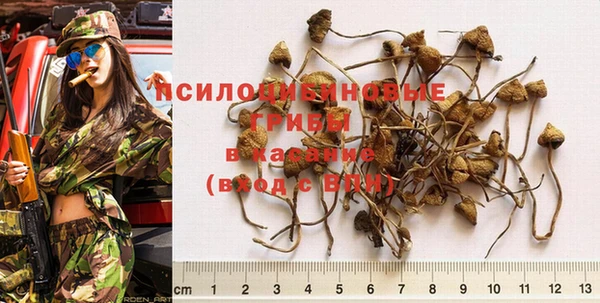 МДПВ Наволоки