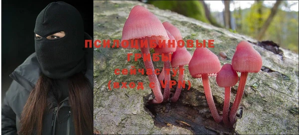 ПСИЛОЦИБИНОВЫЕ ГРИБЫ Алексин